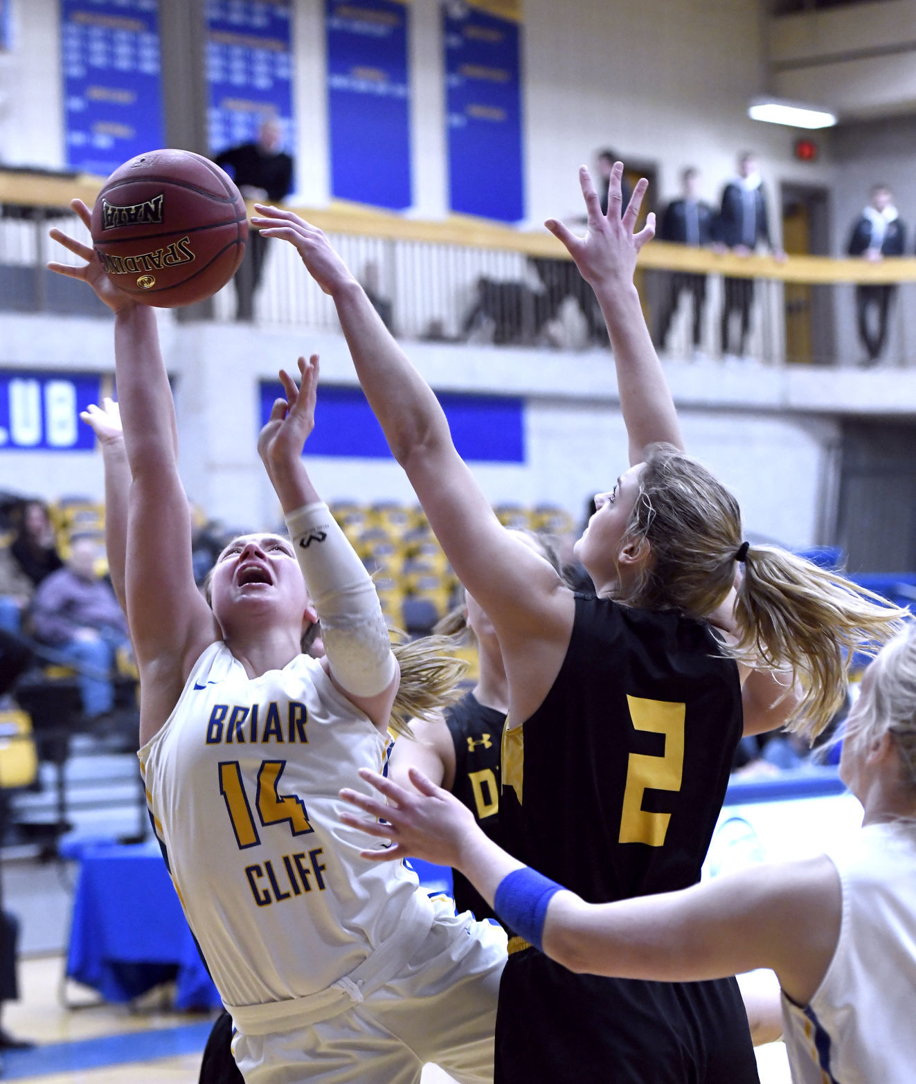 Briar Cliff hosts Dordt